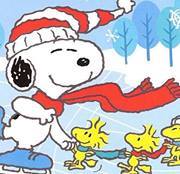 Joan Fitzpatrick-timmes