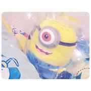 Sarunyapit Phanitchakul