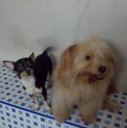 วิภาดา สุพารัตน์