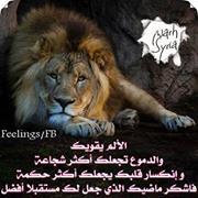 Ahmed Ali