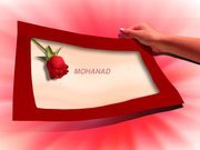 عواد أبو عواد