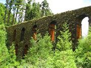 محمدمنصور فاضل