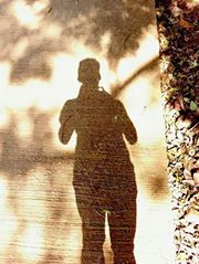 Tanaphon Uachutarmanee