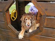 Michele Richards shapiro