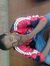 Tshepin...