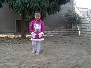 Noor Hosam
