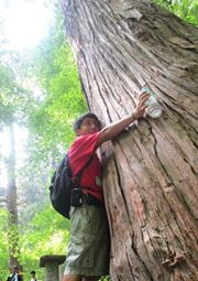 Cesar Padilla castro