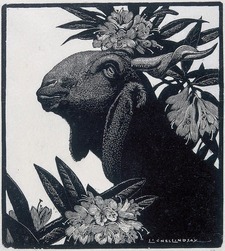 Franco Bauer