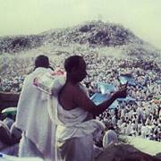 حامد البادي