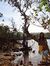Rohini ...