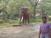 Prasanth Sn