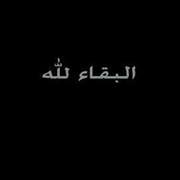 Ahmed Shawkey
