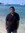 Ramesh ...