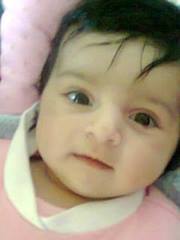 محمد أبو ستة