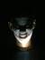 Sohan P...