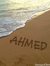 Ahmed E...