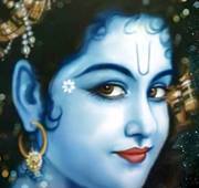 Nibin Murukesh