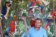 Hossam Ammar