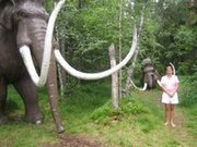 Trine Saugestad hatlen