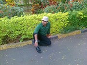 Safwan Chilli