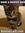 Gramiangel's Cat | 7 comments
