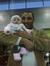 Amr Eltony