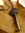 Temperance Elisabeth (Temperance_Elisabeth) | 2 comments