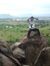 Jeyagan...