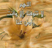 ابوحنين الحميلى