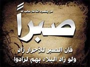 شفيعى قرآنى