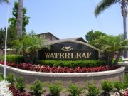Waterleaf Apts