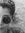 Alexand...