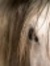 Lina As