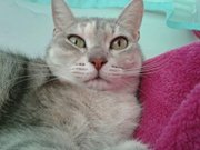 மேரி மரைன்