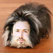 Chris Scott