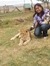 Varsha