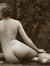The Naked Review