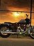 Mukesh Rao