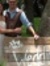 Logan B...