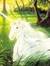 Bunny M...