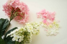 خديجة الشريف