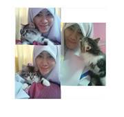 Vee Effendy