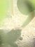 Umair S...