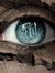 Abdul Q...