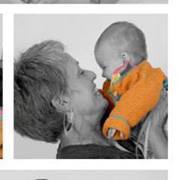 Cynthia Cools-lartigue