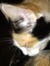 Kathie