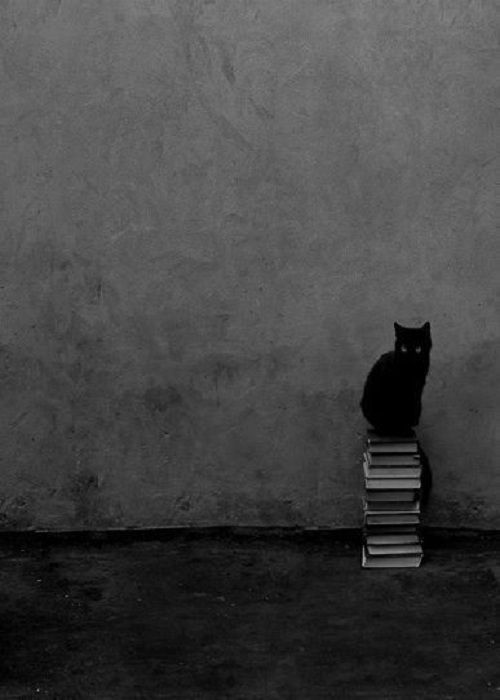 Goodreads profile picture for @ivett