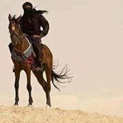 عبدالجليل القباطي