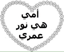 Sherien Mohamed