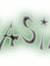 Yasin M...